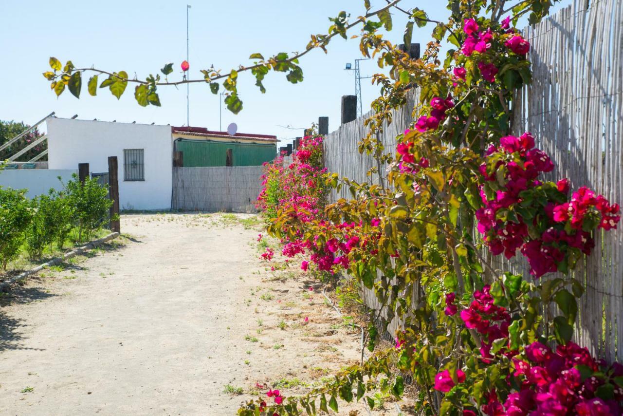 Casara Seis O Casara Siete - Tu Casa A 100M De La Playa De Zahora Pensionat Eksteriør billede